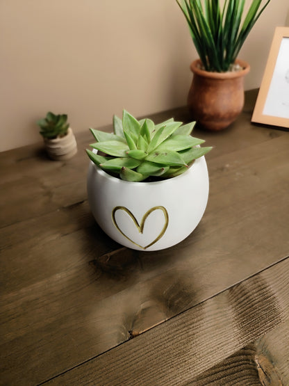 Pflanztopf mit Herz, Sukkulenten Übertopf, kleiner Blumentopf für Zimmerpflanzen